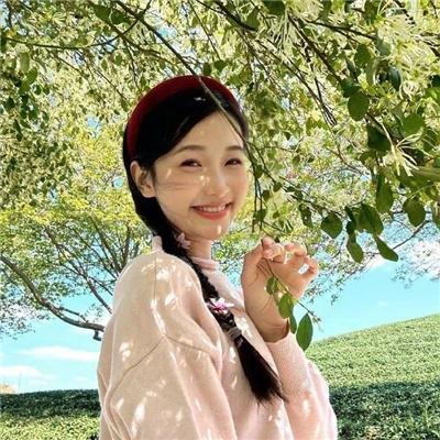新富贵荣华